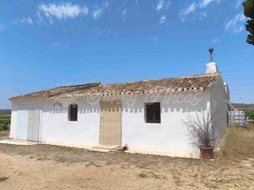 Landejendom i Jumilla, Murcia - foto 2